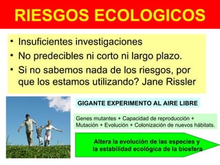 RIESGOS ECOLOGICOS Insuficientes investigaciones  No predecibles ni corto ni largo plazo. Si no sabemos nada de los riesgos, por que los estamos utilizando? Jane Rissler GIGANTE EXPERIMENTO AL AIRE LIBRE Genes mutantes + Capacidad de reproducción +  Mutación + Evolución + Colonización de nuevos hábitats. Altera la evolución de las especies y  la estabilidad ecológica de la biosfera 