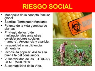 RIESGO SOCIAL Monopolio de la canasta familiar global Semillas Terminator Monsanto Patente de la vida genética de plantas Privilegio de lucro de multinacionales ante otras consideraciones sociales (hambre). Arrogancia y avaricia. Inseguridad e insuficiencia alimentaria Inconsulta popular. Asalto a la buena fe del consumidor. Vulnerabilidad de las FUTURAS GENERACIONES Sustentabilidad de la Vida. 