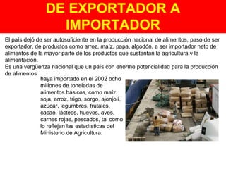 DE EXPORTADOR A IMPORTADOR El país dejó de ser autosuficiente en la producción nacional de alimentos, pasó de ser exportador, de productos como arroz, maíz, papa, algodón, a ser importador neto de alimentos de la mayor parte de los productos que sustentan la agricultura y la alimentación.  Es una vergüenza nacional que un país con enorme potencialidad para la producción de alimentos haya importado en el 2002 ocho millones de toneladas de alimentos básicos, como maíz, soja, arroz, trigo, sorgo, ajonjolí, azúcar, legumbres, frutales, cacao, lácteos, huevos, aves, carnes rojas, pescados, tal como lo reflejan las estadísticas del Ministerio de Agricultura. 