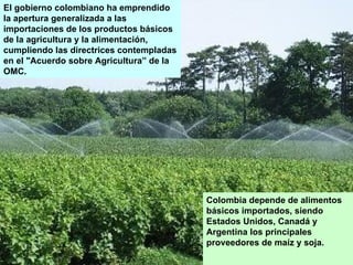 El gobierno colombiano ha emprendido la apertura generalizada a las importaciones de los productos básicos de la agricultura y la alimentación, cumpliendo las directrices contempladas en el "Acuerdo sobre Agricultura” de la OMC. Colombia depende de alimentos básicos importados, siendo Estados Unidos, Canadá y Argentina los principales proveedores de maíz y soja. 