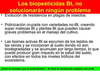Los biopesticidas Bt, no solucionarán ningún problema Evolución de resistencia en plagas de insectos.  Polinización cruzada con variedades no-Bt, creando super malezas Bt y plantas Bt que pueden causar graves problemas en el manejo del cultivo. Las toxinas activas Bt se escurren de los tejidos de las raíces y se incorporan al suelo donde no son biodegradadas y se acumulan por largo tiempo, lo que puede producir gran impacto en la salud del suelo, con efectos en todos los niveles tróficos del ecosistema. ¿Peor el remedio que la enfermedad?  Al final la resistencia acabará con el Bt 