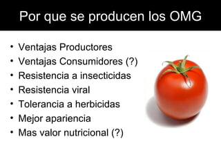 Por que se producen los OMG Ventajas Productores Ventajas Consumidores (?) Resistencia a insecticidas Resistencia viral Tolerancia a herbicidas Mejor apariencia Mas valor nutricional (?) 