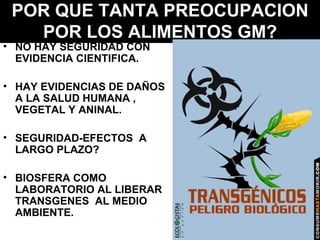 POR QUE TANTA PREOCUPACION POR LOS ALIMENTOS GM? NO HAY SEGURIDAD CON EVIDENCIA CIENTIFICA. HAY EVIDENCIAS DE DAÑOS A LA SALUD HUMANA , VEGETAL Y ANINAL. SEGURIDAD-EFECTOS  A LARGO PLAZO? BIOSFERA COMO LABORATORIO AL LIBERAR TRANSGENES  AL MEDIO AMBIENTE. 