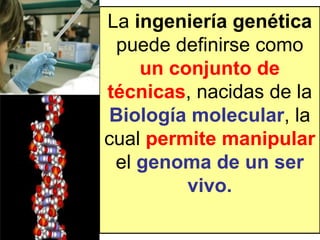 La  ingeniería genética  puede definirse como  un conjunto de técnicas , nacidas de la  Biología molecular , la cual  permite manipular  el  genoma de un ser vivo. 