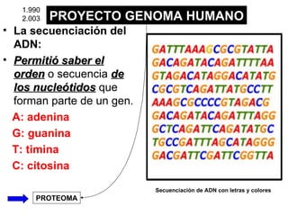 La secuenciación del ADN:   Permitió saber el orden  o secuencia  de los nucleótidos  que forman parte de un gen.  A: adenina  G: guanina  T: timina  C: citosina Secuenciación de ADN con letras y colores  PROYECTO GENOMA HUMANO PROTEOMA 1.990 2.003 