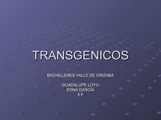 TRANSGENICOS BACHILLERES VALLE DE ORIZABA GUADALUPE LOYO EDNA GARCIA 5 F 
