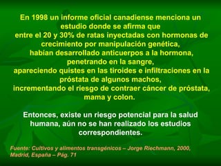 En 1998 un informe oficial canadiense menciona un estudio donde se afirma que entre el 20 y 30% de ratas inyectadas con hormonas de crecimiento por manipulación genética, habían desarrollado anticuerpos a la hormona, penetrando en la sangre, apareciendo quistes en las tiroides e infiltraciones en la próstata de algunos machos, incrementando el riesgo de contraer cáncer de próstata, mama y colon.   Entonces, existe un riesgo potencial para la salud humana, aún no se han realizado los estudios correspondientes. Fuente: Cultivos y alimentos transgénicos – Jorge Riechmann, 2000, Madrid, España – Pág. 71 