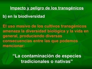 Impacto y peligro de los transgénicos b) en la biodiversidad El uso masivo de los cultivos transgénicos amenaza la diversidad biológica y la vida en general, produciendo diversas consecuencias entre las que podemos mencionar: “ La contaminación de especies tradicionales o nativas” 