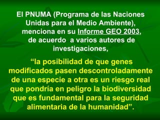 El PNUMA (Programa de las Naciones Unidas para el Medio Ambiente), menciona en su  Informe GEO 2003 , de acuerdo  a varios autores de investigaciones, “ la posibilidad de que genes modificados pasen descontroladamente de una especie a otra es un riesgo real que pondría en peligro la biodiversidad que es fundamental para la seguridad alimentaria de la humanidad”. 