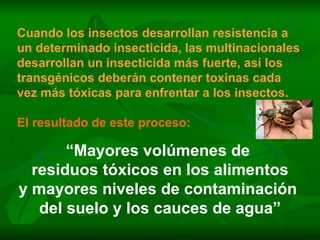 Cuando los insectos desarrollan resistencia a un determinado insecticida, las multinacionales desarrollan un insecticida más fuerte, así los transgénicos deberán contener toxinas cada vez más tóxicas para enfrentar a los insectos. El resultado de este proceso: “ Mayores volúmenes de  residuos tóxicos en los alimentos y mayores niveles de contaminación  del suelo y los cauces de agua” 