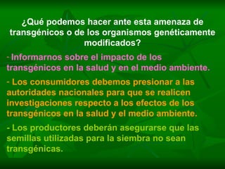¿Qué podemos hacer ante esta amenaza de transgénicos o de los organismos genéticamente modificados? Informarnos sobre el impacto de los transgénicos en la salud y en el medio ambiente. Los consumidores debemos presionar a las autoridades nacionales para que se realicen investigaciones respecto a los efectos de los transgénicos en la salud y el medio ambiente. - Los productores deberán asegurarse que las semillas utilizadas para la siembra no sean transgénicas. 