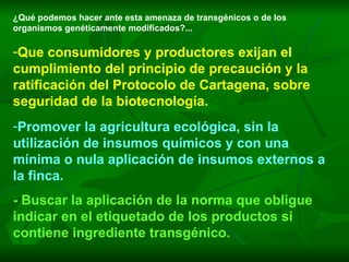 ¿Qué podemos hacer ante esta amenaza de transgénicos o de los organismos genéticamente modificados?... Que consumidores y productores exijan el cumplimiento del principio de precaución y la ratificación del Protocolo de Cartagena, sobre seguridad de la biotecnología. Promover la agricultura ecológica, sin la utilización de insumos químicos y con una mínima o nula aplicación de insumos externos a la finca. - Buscar la aplicación de la norma que obligue indicar en el etiquetado de los productos si contiene ingrediente transgénico. 