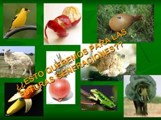 ¿¿ESTO QUEREMOS PARA LAS FUTURAS GENERACIONES?? 