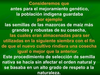 Consideremos que antes para el mejoramiento genético, la población indígena guardaba por ejemplo las semillas de las mazorcas de maíz más grandes y robustas de su cosecha, las cuales eran almacenadas para ser utilizadas en la siguiente siembra con el fin de que el nuevo cultivo rindiera una cosecha igual o mejor que la anterior.   Este procedimiento de selección de semilla nativa se hacía sin afectar el orden natural y se basaba en un alto grado de respeto a la naturaleza. 
