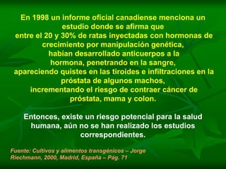 En 1998 un informe oficial canadiense menciona un
               estudio donde se afirma que
 entre el 20 y 30% de ratas inyectadas con hormonas de
         crecimiento por manipulación genética,
           habían desarrollado anticuerpos a la
           hormona, penetrando en la sangre,
 apareciendo quistes en las tiroides e infiltraciones en la
               próstata de algunos machos,
     incrementando el riesgo de contraer cáncer de
                 próstata, mama y colon.

    Entonces, existe un riesgo potencial para la salud
     humana, aún no se han realizado los estudios
                   correspondientes.

Fuente: Cultivos y alimentos transgénicos – Jorge
Riechmann, 2000, Madrid, España – Pág. 71
 