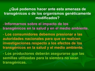 ¿Qué podemos hacer ante esta amenaza de
transgénicos o de los organismos genéticamente
                 modificados?
- Informarnos sobre el impacto de los
transgénicos en la salud y en el medio ambiente.
- Los consumidores debemos presionar a las
autoridades nacionales para que se realicen
investigaciones respecto a los efectos de los
transgénicos en la salud y el medio ambiente.
- Los productores deberán asegurarse que las
semillas utilizadas para la siembra no sean
transgénicas.
 