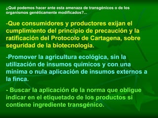 ¿Qué podemos hacer ante esta amenaza de transgénicos o de los
organismos genéticamente modificados?...

-Que consumidores y productores exijan el
cumplimiento del principio de precaución y la
ratificación del Protocolo de Cartagena, sobre
seguridad de la biotecnología.
-Promover la agricultura ecológica, sin la
utilización de insumos químicos y con una
mínima o nula aplicación de insumos externos a
la finca.
- Buscar la aplicación de la norma que obligue
indicar en el etiquetado de los productos si
contiene ingrediente transgénico.
 