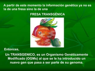 A partir de este momento la información genética ya no es
la de una fresa sino la de una
                 FRESA TRANSGÉNICA




Entonces,
 Un TRANSGENICO, es un Organismo Genéticamente
  Modificado (OGMs) al que se le ha introducido un
    nuevo gen que pasa a ser parte de su genoma.
 