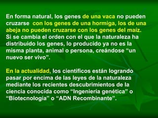 En forma natural, los genes de una vaca no pueden
cruzarse con los genes de una hormiga, los de una
abeja no pueden cruzarse con los genes del maíz.
Si se cambia el orden con el que la naturaleza ha
distribuido los genes, lo producido ya no es la
misma planta, animal o persona, creándose “un
nuevo ser vivo”.

En la actualidad, los científicos están logrando
pasar por encima de las leyes de la naturaleza
mediante los recientes descubrimientos de la
ciencia conocida como “Ingeniería genética” o
“Biotecnología” o “ADN Recombinante”.
 