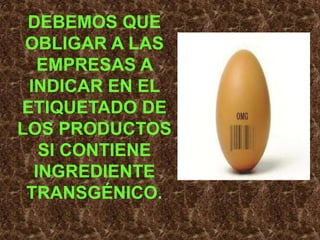DEBEMOS QUE OBLIGAR A LAS EMPRESAS A INDICAR EN EL ETIQUETADO DE LOS PRODUCTOS SI CONTIENE INGREDIENTE TRANSGÉNICO. 