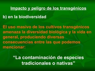 Impacto y peligro de los transgénicos b) en la biodiversidad El uso masivo de los cultivos transgénicos amenaza la diversidad biológica y la vida en general, produciendo diversas consecuencias entre las que podemos mencionar: “ La contaminación de especies tradicionales o nativas” 