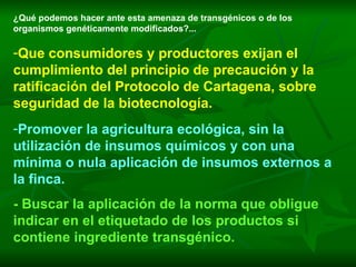 ¿Qué podemos hacer ante esta amenaza de transgénicos o de los organismos genéticamente modificados?... Que consumidores y productores exijan el cumplimiento del principio de precaución y la ratificación del Protocolo de Cartagena, sobre seguridad de la biotecnología. Promover la agricultura ecológica, sin la utilización de insumos químicos y con una mínima o nula aplicación de insumos externos a la finca. - Buscar la aplicación de la norma que obligue indicar en el etiquetado de los productos si contiene ingrediente transgénico. 