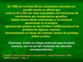 En 1998 un informe oficial canadiense menciona un estudio donde se afirma que entre el 20 y 30% de ratas inyectadas con hormonas de crecimiento por manipulación genética, habían desarrollado anticuerpos a la hormona, penetrando en la sangre, apareciendo quistes en las tiroides e infiltraciones en la próstata de algunos machos, incrementando el riesgo de contraer cáncer de próstata, mama y colon.   Entonces, existe un riesgo potencial para la salud humana, aún no se han realizado los estudios correspondientes. Fuente: Cultivos y alimentos transgénicos – Jorge Riechmann, 2000, Madrid, España – Pág. 71 