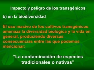 Impacto y peligro de los transgénicos b) en la biodiversidad El uso masivo de los cultivos transgénicos amenaza la diversidad biológica y la vida en general, produciendo diversas consecuencias entre las que podemos mencionar: “ La contaminación de especies tradicionales o nativas” 