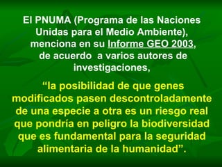 El PNUMA (Programa de las Naciones Unidas para el Medio Ambiente), menciona en su  Informe GEO 2003 , de acuerdo  a varios autores de investigaciones, “ la posibilidad de que genes modificados pasen descontroladamente de una especie a otra es un riesgo real que pondría en peligro la biodiversidad que es fundamental para la seguridad alimentaria de la humanidad”. 