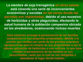 La siembra de soja transgénica  en otros países  está creando una serie de inconvenientes económicos y sociales  en las zonas donde las parcelas son implantadas,  debido al uso excesivo de herbicidas y otros plaguicidas, afectando la salud humana de la población campesina ubicada en los alrededores, ocasionando incluso muertes . Esta situación arriesga la permanencia de las familias campesinas en sus pequeñas propiedades, debido a la presión que reciben por parte de las grandes empresas agropecuarias para la compra de sus propiedades o por la intensa aplicación de herbicidas a sus cultivos, lo que hace inviable la permanencia de las familias en sus comunidades, razón por la cual se ven obligadas a abandonar el lugar donde habitan. 