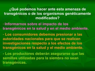 ¿Qué podemos hacer ante esta amenaza de transgénicos o de los organismos genéticamente modificados? Informarnos sobre el impacto de los transgénicos en la salud y en el medio ambiente. Los consumidores debemos presionar a las autoridades nacionales para que se realicen investigaciones respecto a los efectos de los transgénicos en la salud y el medio ambiente. - Los productores deberán asegurarse que las semillas utilizadas para la siembra no sean transgénicas. 