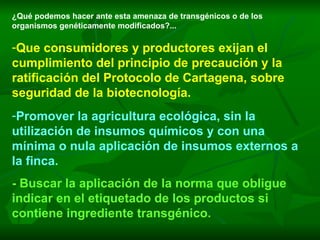 ¿Qué podemos hacer ante esta amenaza de transgénicos o de los organismos genéticamente modificados?... Que consumidores y productores exijan el cumplimiento del principio de precaución y la ratificación del Protocolo de Cartagena, sobre seguridad de la biotecnología. Promover la agricultura ecológica, sin la utilización de insumos químicos y con una mínima o nula aplicación de insumos externos a la finca. - Buscar la aplicación de la norma que obligue indicar en el etiquetado de los productos si contiene ingrediente transgénico. 