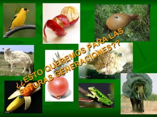 ¿¿ESTO QUEREMOS PARA LAS FUTURAS GENERACIONES?? 