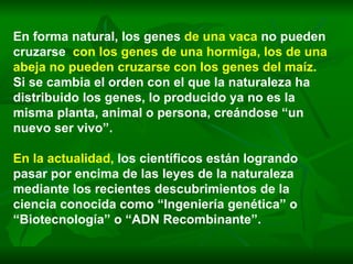 En forma natural, los genes  de una vaca   no pueden cruzarse  con los genes de una hormiga, los de una abeja no pueden cruzarse con los genes del maíz.   Si se cambia el orden con el que la naturaleza ha distribuido los genes, lo producido ya no es la misma planta, animal o persona, creándose “un nuevo ser vivo”.   En la actualidad,   los científicos están logrando pasar por encima de las leyes de la naturaleza mediante los recientes descubrimientos de la ciencia conocida como “Ingeniería genética” o “Biotecnología” o “ADN Recombinante”.  