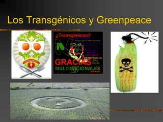 Los Transgénicos y Greenpeace
 
