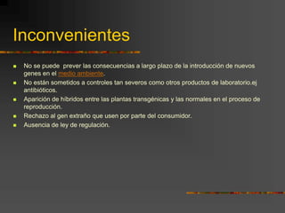 Inconvenientes
 No se puede prever las consecuencias a largo plazo de la introducción de nuevos
genes en el medio ambiente.
 No están sometidos a controles tan severos como otros productos de laboratorio.ej
antibióticos.
 Aparición de híbridos entre las plantas transgénicas y las normales en el proceso de
reproducción.
 Rechazo al gen extraño que usen por parte del consumidor.
 Ausencia de ley de regulación.
 