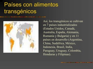 Países con alimentos
transgénicos
Así, los transgénicos se cultivan
en 7 países industrializados
(Estados Unidos, Canadá,
Australia, España, Alemania,
Rumania y Bulgaria) y en 11
países en desarrollo (Argentina,
China, Sudáfrica, México,
Indonesia, Brasil, India,
Paraguay, Uruguay, Colombia,
Honduras y Filipinas).
 