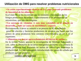 Se están experimentando técnicas de I.G. para prevenir problemas  de inocuidad de los alimentos.  Ej.el maíz Bt, se ha encontrado que es resistente a los ataques de los hongos productores de toxinas y concretamente a los productores de micotoxinas, que son carcinógenas. La carencia de vitamina A esta muy extendida en el mundo en desarrollo, puede ser causa de morbilidad y ceguera. Recientemente el arroz se sometió a un proceso de IG insertándole genes de claveles y bacterias productores de enzimas que hacen que los granos de arroz produzcan beta caroteno convirtiéndose en vit A en el organismo.  Alimentos con mayor aprovechamiento del hierro de suelos. En la revista Natura aparece la investigación de Michigo Takamashi y cols. sobre la obtención de un arroz transgénico resistente a la carencia de hierro, problema muy frecuente en suelos de cultivo que disminuye la productividad. Lo han conseguido introduciendo dos genes de cebada que producen agentes quelantes. Utilización de OMG para resolver problemas nutricionales 