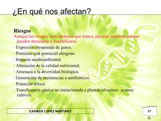 Riesgos Aunque los riesgos sean menores que nunca, parecen mayores porque  pueden detectarse y cuantificarse. · Expresión inesperada de genes. · Proteínas con potencial alérgeno. · Impacto medioambiental. · Alteración de la calidad nutricional. · Amenaza a la diversidad biológica. · Generación de resistencias a antibióticos. · Potencial tóxico. · Transferencia génica no intencionada a plantas silvestres  u otros cultivos. ¿En qué nos afectan? 