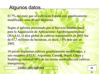 El 7% del maíz que se cultiva en España está genéticamente modificado, unas 40 mil hectáreas.  Según el informe presentado por el Servicio Internacional para la Adquisición de Aplicaciones Agrobiotecnológicas (ISAAA), el área global de cultivos transgénicos en 2003 fue de 67,7 millones de hectáreas, es decir, 15% más que en 2002. 18 países implantan cultivos genéticamente modificados, y seis naciones (EEUU, Argentina, Canadá, Brasil, China y Sudáfrica) tienen el 99% de las tierras sembradas con cultivos transgénicos.  Algunos datos... 