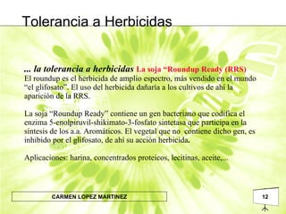 ... la tolerancia a herbicidas   La soja “Roundup Ready (RRS)  El roundup es el herbicida de amplio espectro, más vendido en el mundo “el glifosato”. El uso del herbicida dañaría a los cultivos de ahí la aparición de la RRS. La soja “Roundup Ready” contiene un gen bacteriano que codifica el enzima 5-enolpiruvil-shikimato-3-fosfato sintetasa que participa en la síntesis de los a.a. Aromáticos. El vegetal que no  contiene dicho gen, es inhibido por el glifosato, de ahí su acción herbicida . Aplicaciones: harina, concentrados proteicos, lecitinas, aceite,...  Tolerancia a Herbicidas 