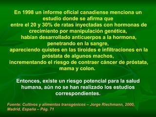 En 1998 un informe oficial canadiense menciona un estudio donde se afirma que entre el 20 y 30% de ratas inyectadas con hormonas de crecimiento por manipulación genética, habían desarrollado anticuerpos a la hormona, penetrando en la sangre, apareciendo quistes en las tiroides e infiltraciones en la próstata de algunos machos, incrementando el riesgo de contraer cáncer de próstata, mama y colon.   Entonces, existe un riesgo potencial para la salud humana, aún no se han realizado los estudios correspondientes. Fuente: Cultivos y alimentos transgénicos – Jorge Riechmann, 2000, Madrid, España – Pág. 71 