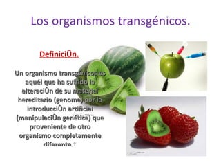 La biotecnología y las enfermedades genéticas. 