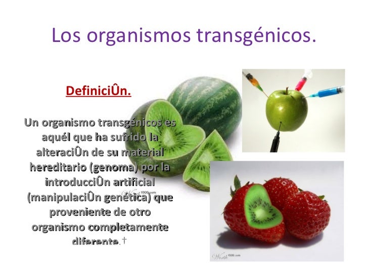 definicion de alimentos transgenicos transgenicos definicion de alimentos transgenicos transgenicos