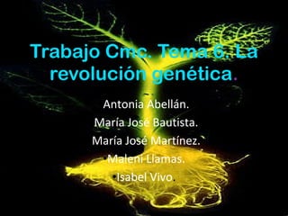 Trabajo Cmc. Tema 6. La
  revolución genética.
       •Antonia Abellán.
      •María José Bautista.
     •María José Martínez.
        •Maleni Llamas.
         •Isabel Vivo.
 