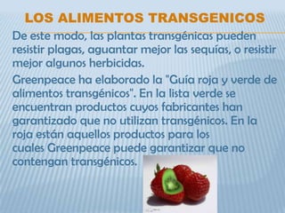LOS ALIMENTOS TRANSGENICOS
De este modo, las plantas transgénicas pueden
resistir plagas, aguantar mejor las sequías, o resistir
mejor algunos herbicidas.
Greenpeace ha elaborado la "Guía roja y verde de
alimentos transgénicos". En la lista verde se
encuentran productos cuyos fabricantes han
garantizado que no utilizan transgénicos. En la
roja están aquellos productos para los
cuales Greenpeace puede garantizar que no
contengan transgénicos.
 