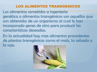 LOS ALIMENTOS TRANSGENICOS
Los alimentos sometidos a ingeniería
genética o alimentos transgénicos son aquellos que
son obtenidos de un organismo al cual le han
incorporado genes de otro para producir las
características deseadas.
En la actualidad hay mas alimentos procedentes
de plantas transgénicas como el maíz, la cebada o
la soja.
 