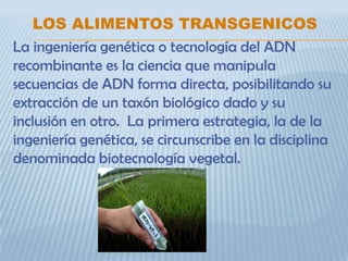 LOS ALIMENTOS TRANSGENICOS
La ingeniería genética o tecnología del ADN
recombinante es la ciencia que manipula
secuencias de ADN forma directa, posibilitando su
extracción de un taxón biológico dado y su
inclusión en otro. La primera estrategia, la de la
ingeniería genética, se circunscribe en la disciplina
denominada biotecnología vegetal.
 