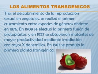 LOS ALIMENTOS TRANSGENICOS
Tras el descubrimiento de la reproducción
sexual en vegetales, se realizó el primer
cruzamiento entre especies de géneros distintos
en 1876. En 1909 se efectuó la primera fusión de
protoplastos, y en 1927 se obtuvieron mutantes de
mayor productividad mediante irradiación
con rayos X de semillas. En 1983 se produjo la
primera planta transgénica.
 