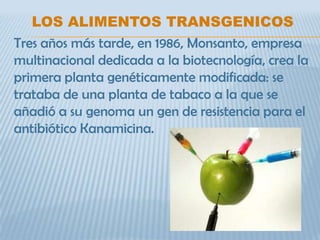 LOS ALIMENTOS TRANSGENICOS
Tres años más tarde, en 1986, Monsanto, empresa
multinacional dedicada a la biotecnología, crea la
primera planta genéticamente modificada: se
trataba de una planta de tabaco a la que se
añadió a su genoma un gen de resistencia para el
antibiótico Kanamicina.
 